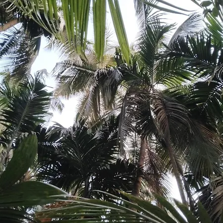 Madhuli Cottage Alibag Exterior photo