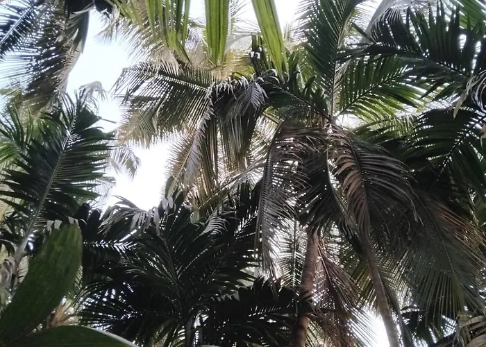 Madhuli Cottage