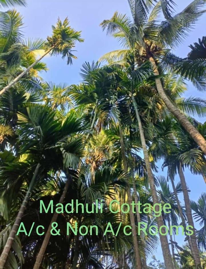 Madhuli Alibag