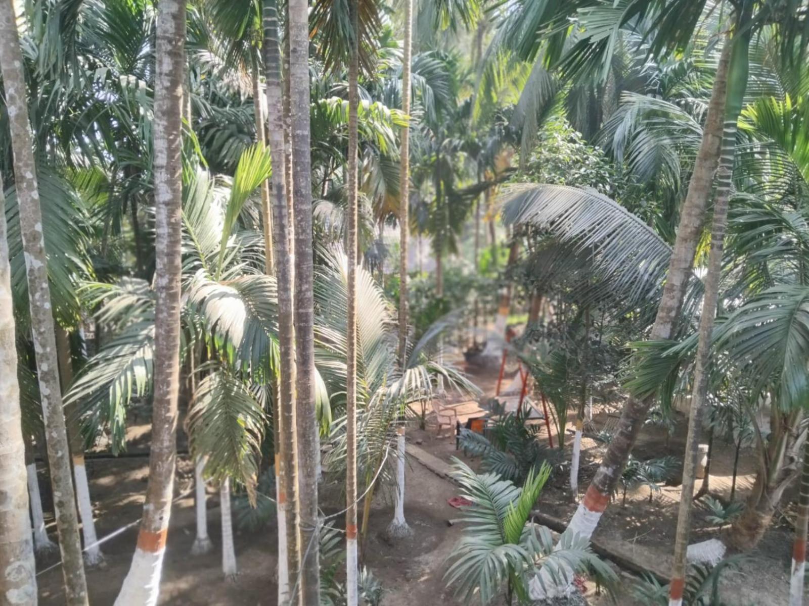Homestay Madhuli *
